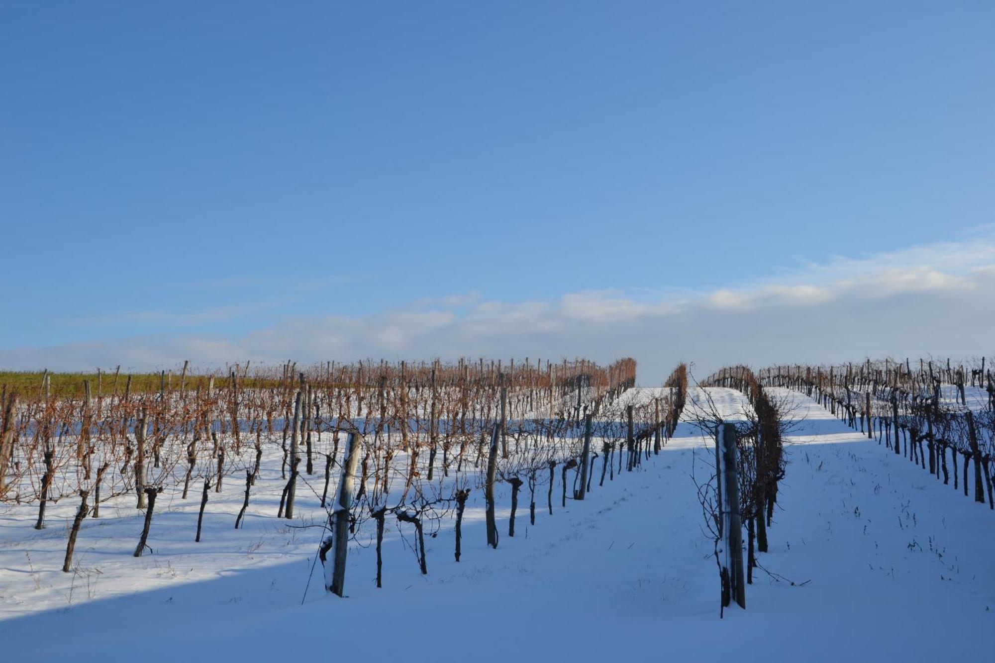 Wein + Bett Wiedeck Stetten Kültér fotó